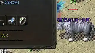 猪洞致富效率可观，组队刷怪安全省心，教主掉落价值不菲